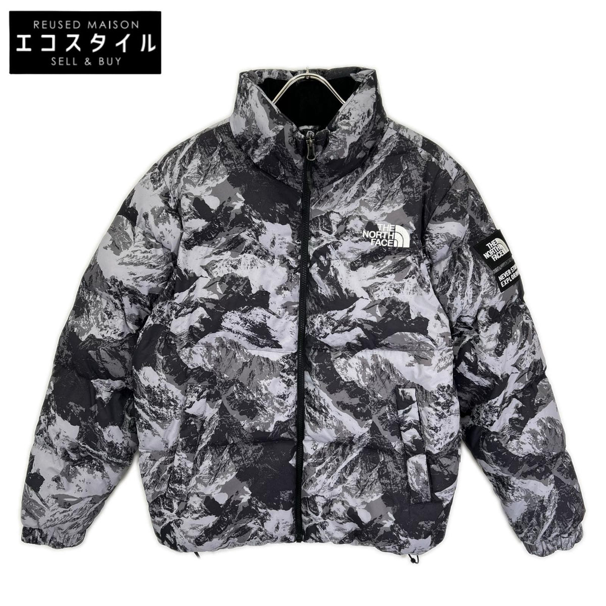 THE NORTH FACE ノースフェイス NJ3NN63A 海外限定 マウンテン柄 NOVELTY ASPEN EX ON BALL JACKET/ダウンジャケット ジャケット