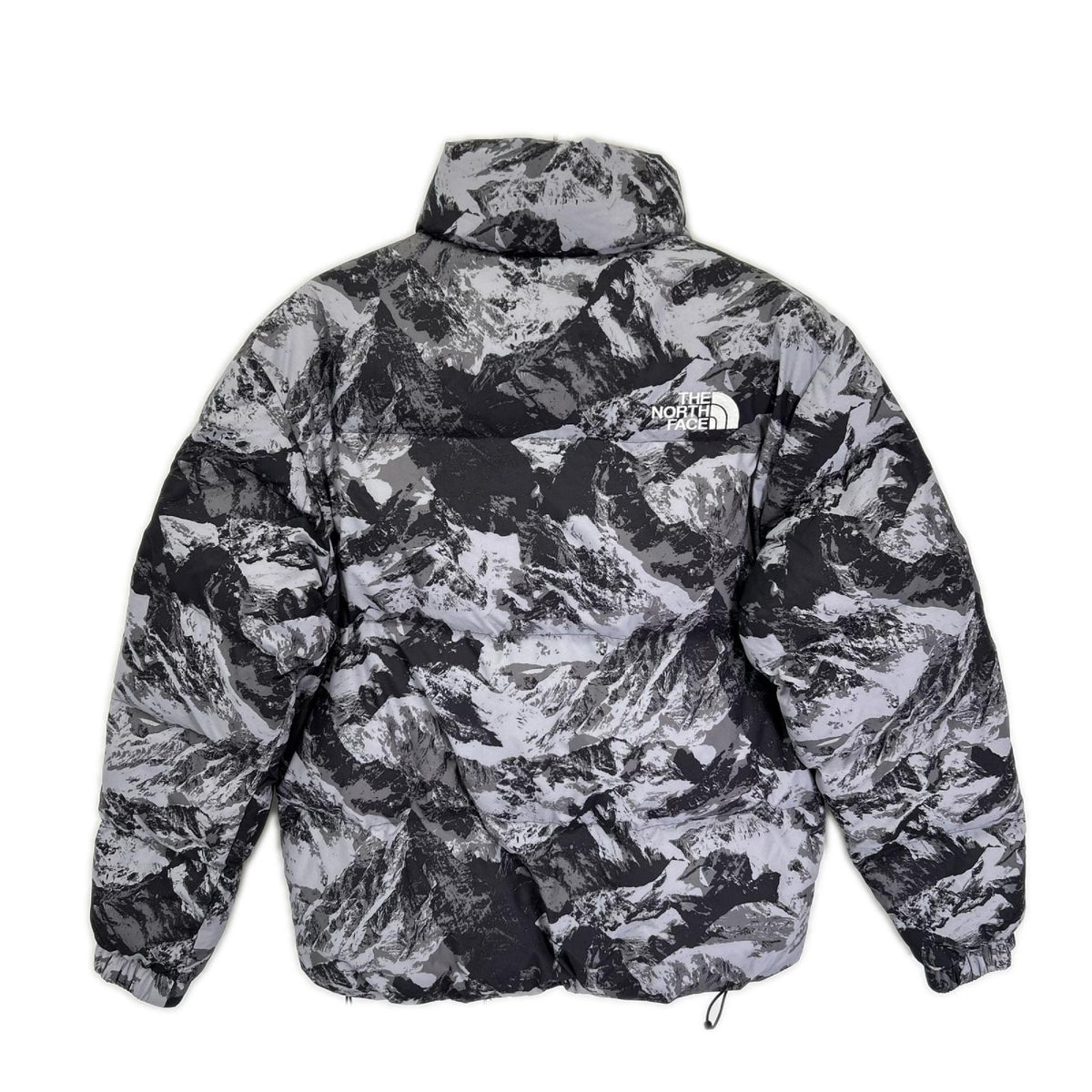 THE NORTH FACE ノースフェイス NJ3NN63A 海外限定 マウンテン柄 NOVELTY ASPEN EX ON BALL JACKET/ダウンジャケット ジャケット