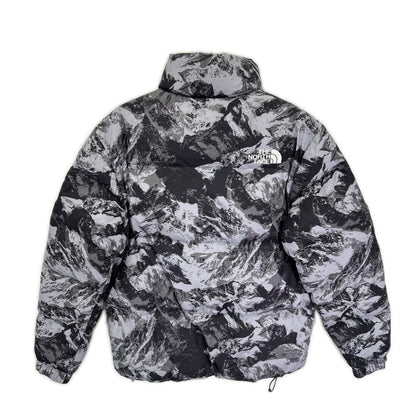 THE NORTH FACE ノースフェイス NJ3NN63A 海外限定 マウンテン柄 NOVELTY ASPEN EX ON BALL JACKET/ダウンジャケット ジャケット