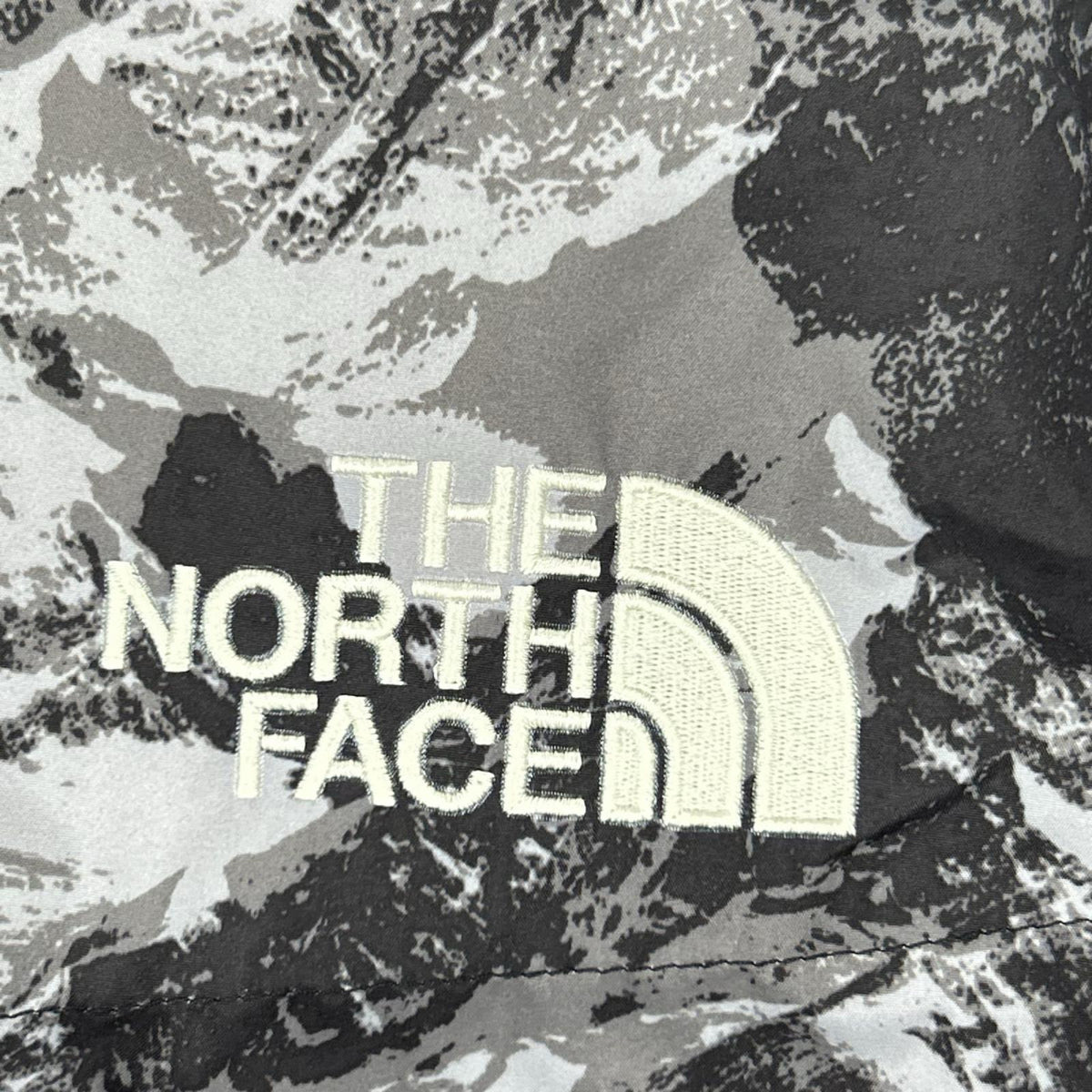 THE NORTH FACE ノースフェイス NJ3NN63A 海外限定 マウンテン柄 NOVELTY ASPEN EX ON BALL JACKET/ダウンジャケット ジャケット