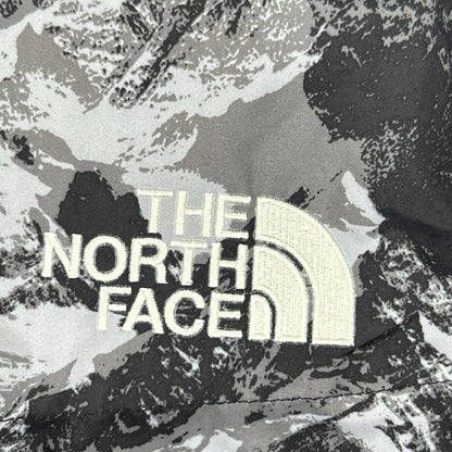 THE NORTH FACE ノースフェイス NJ3NN63A 海外限定 マウンテン柄 NOVELTY ASPEN EX ON BALL JACKET/ダウンジャケット ジャケット