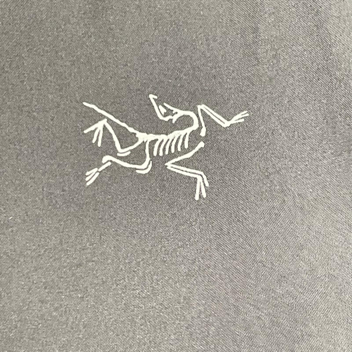 ARC'TERYX アークテリクス X000007410 23SS ブラック SKYLINE LS SHIRT スカイライン 比翼ボタン 長袖 ボタンシャツ トップス