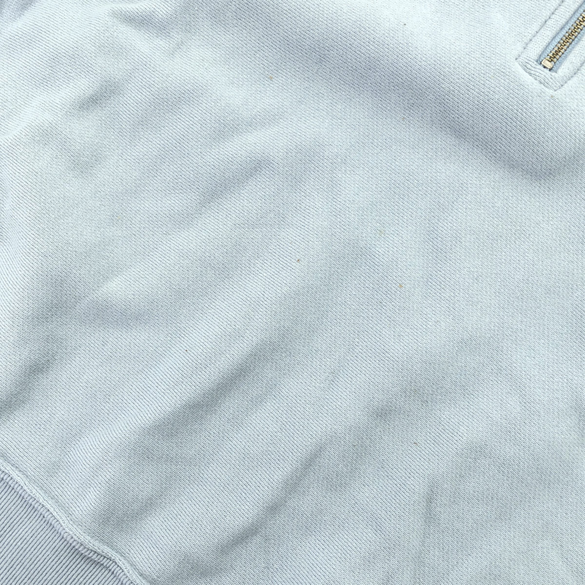 Champion チャンピオン ×ダブルスタンダード ライトブルー ハーフジップ トレーナー トップス