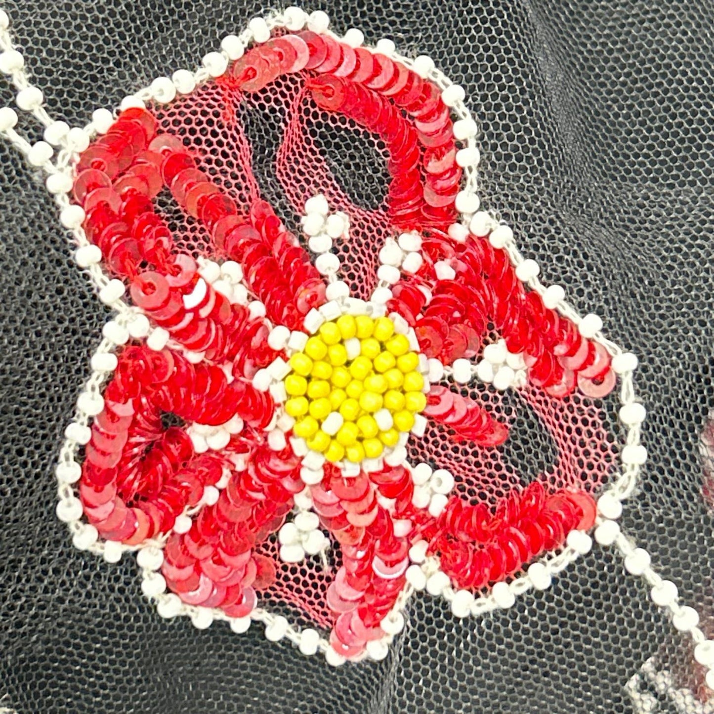 ELISABETTA FRANCHI エリザベッタフランキ ブラック 刺繍 レース ワンピース ドレス ワンピース