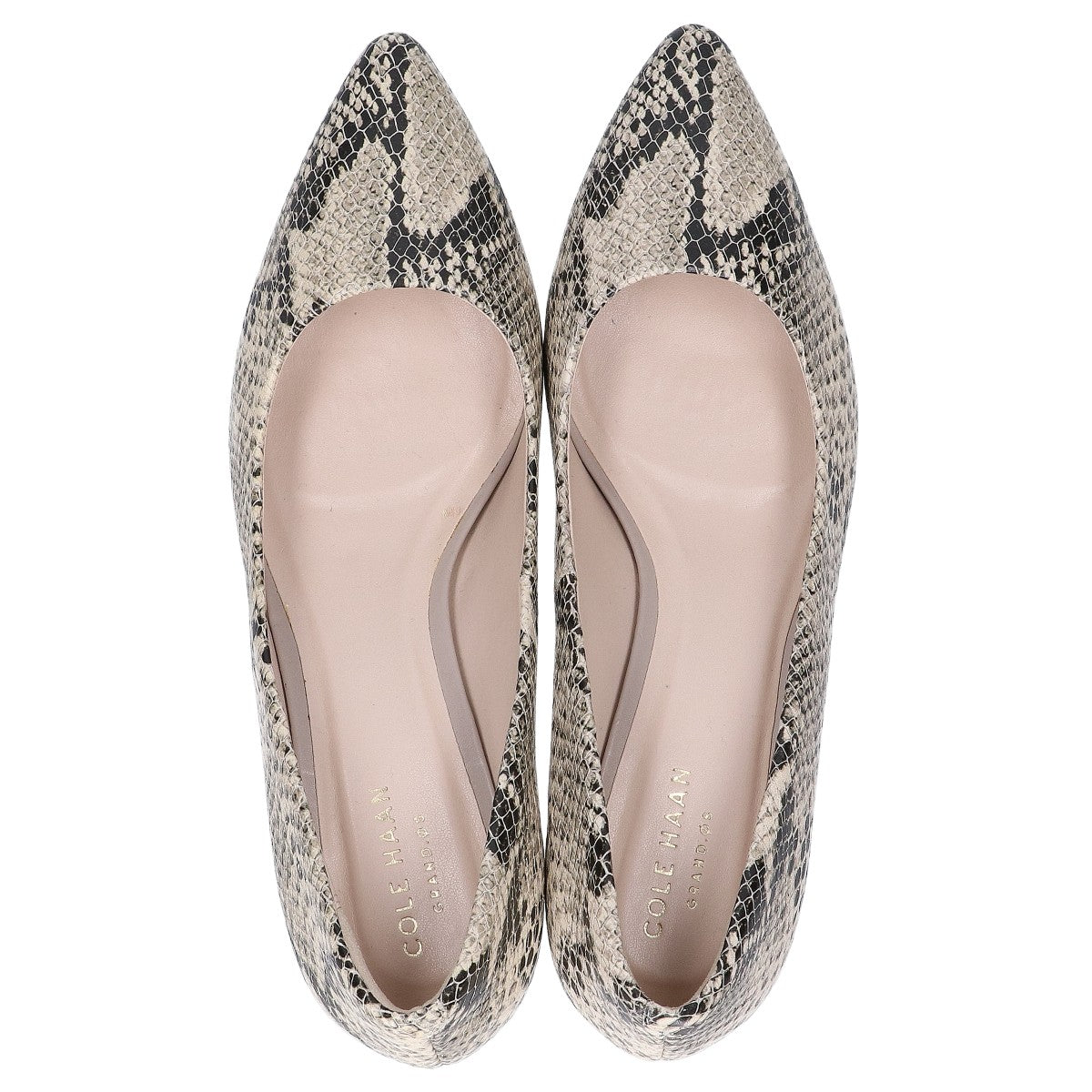 COLE HAAN コールハーン 【美品】K16-BR W05365 アメリア グランド プリント 型押しレザー ポインテッドトゥ パンプス シューズ